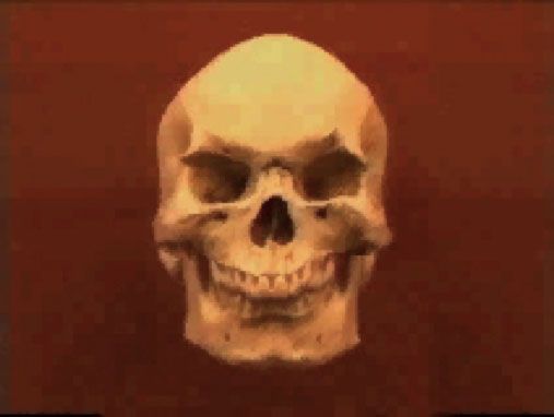Skull Warp
